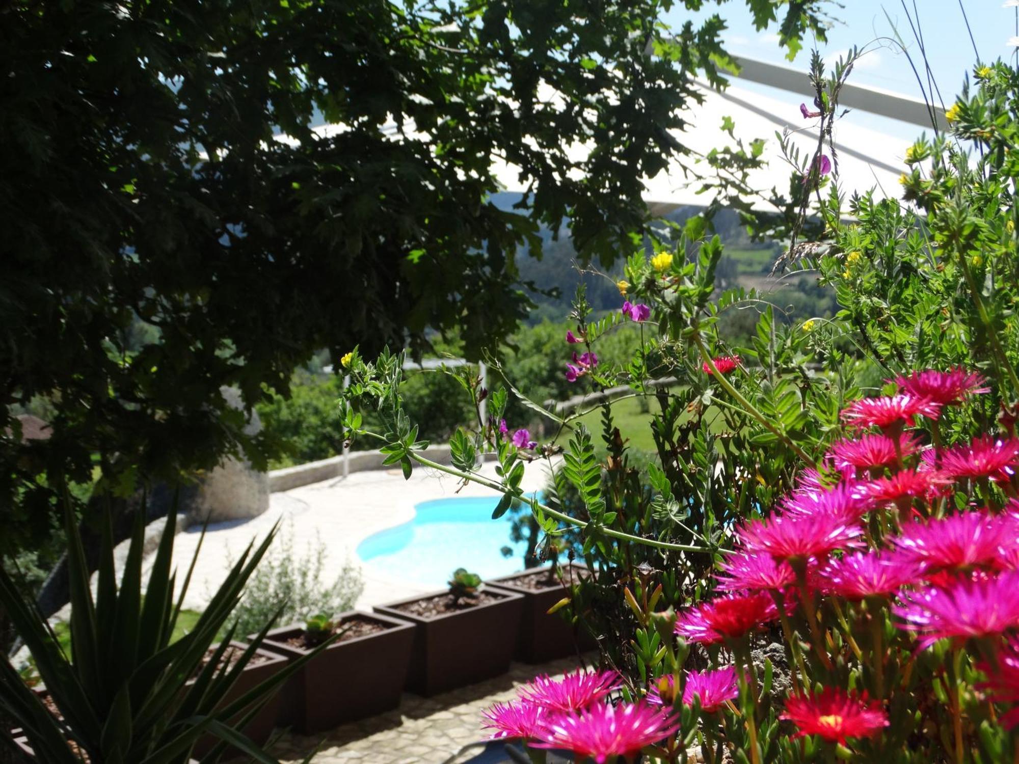 Quinta Cercas Da Costa Βίλα Vieira do Minho Δωμάτιο φωτογραφία