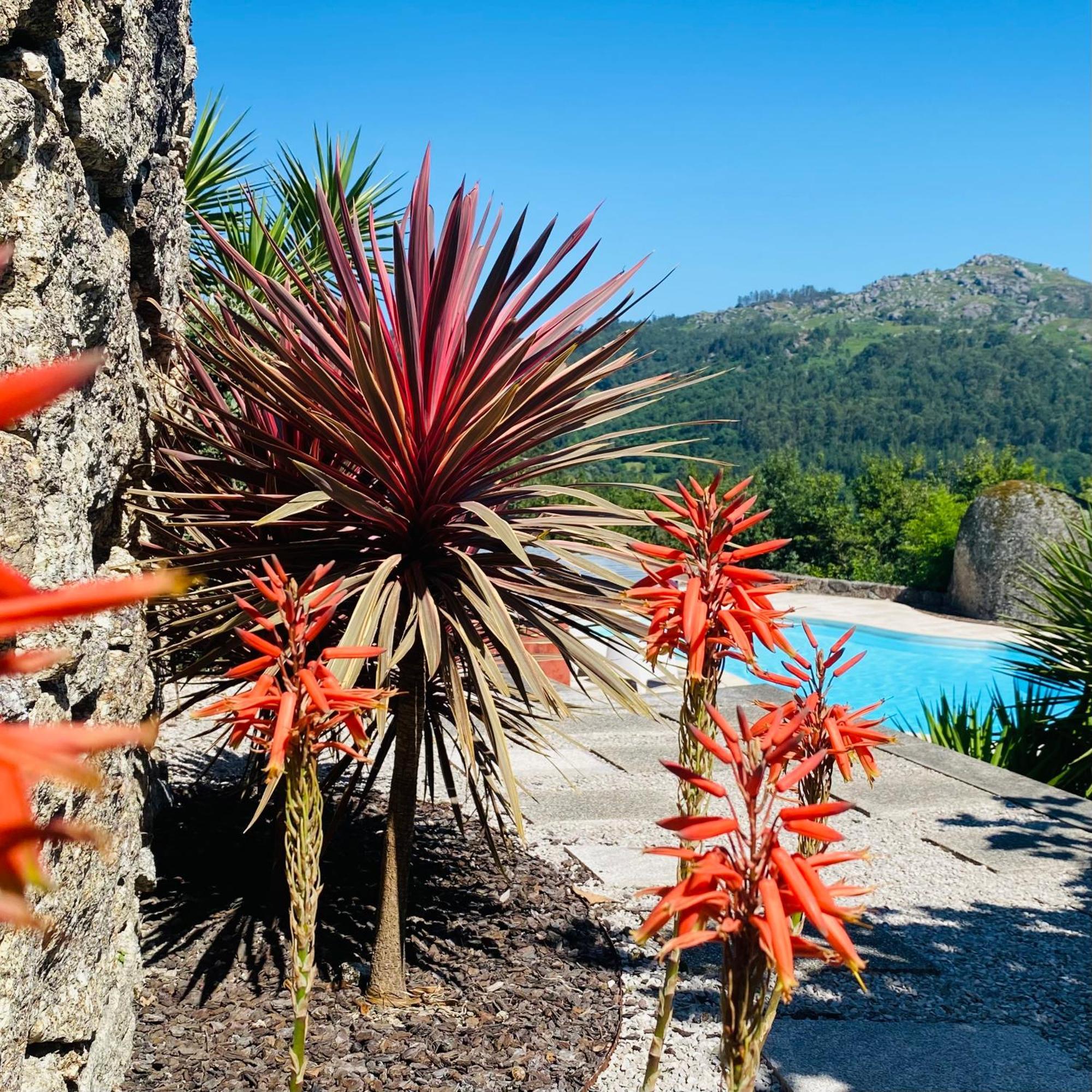 Quinta Cercas Da Costa Βίλα Vieira do Minho Εξωτερικό φωτογραφία